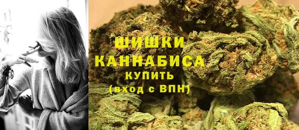 МДПВ Тайга