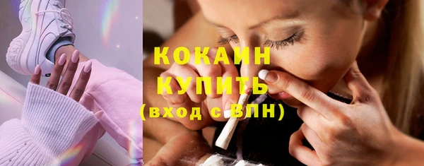 МДПВ Тайга