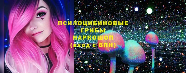 МДПВ Тайга