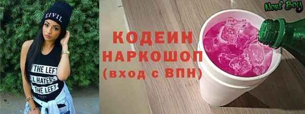 МДПВ Тайга