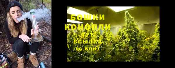 Альфа ПВП Тавда