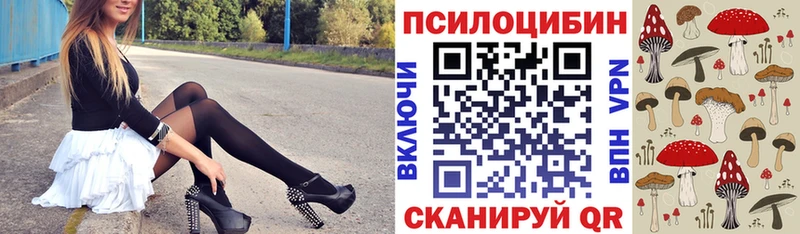 Псилоцибиновые грибы Psilocybine cubensis Чапаевск