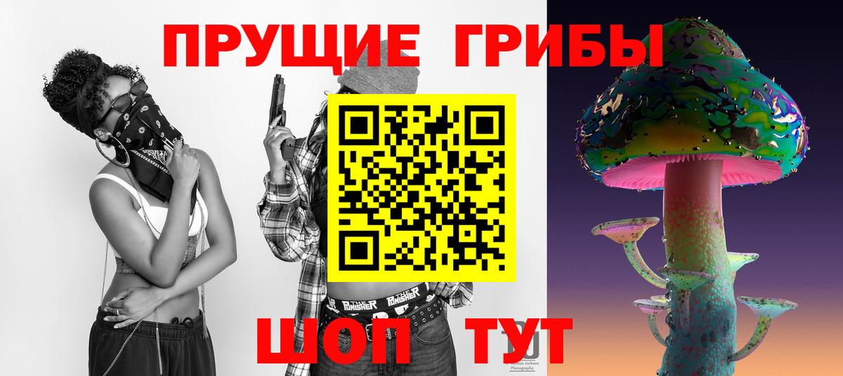 Галлюциногенные грибы Psilocybine cubensis  Чапаевск 