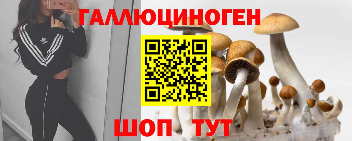 Галлюциногенные грибы мицелий  Вход с VPN  Чапаевск 
